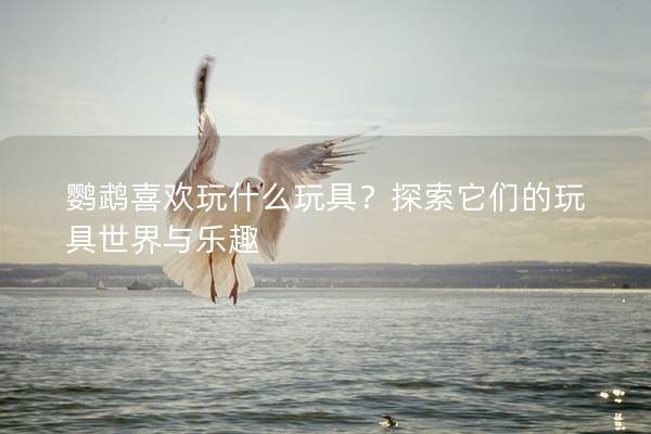 鹦鹉喜欢玩什么玩具？探索它们的玩具世界与乐趣