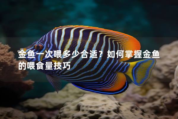 金鱼一次喂多少合适？如何掌握金鱼的喂食量技巧