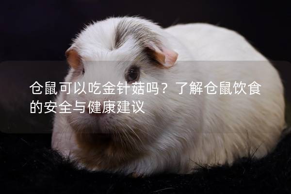 仓鼠可以吃金针菇吗？了解仓鼠饮食的安全与健康建议