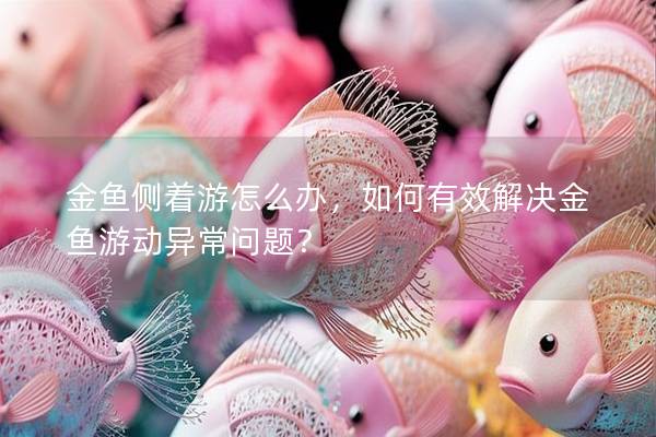金鱼侧着游怎么办，如何有效解决金鱼游动异常问题？