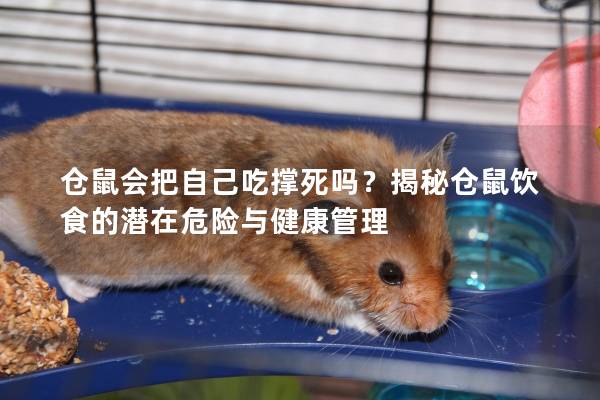 仓鼠会把自己吃撑死吗？揭秘仓鼠饮食的潜在危险与健康管理