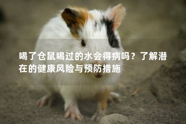 喝了仓鼠喝过的水会得病吗？了解潜在的健康风险与预防措施