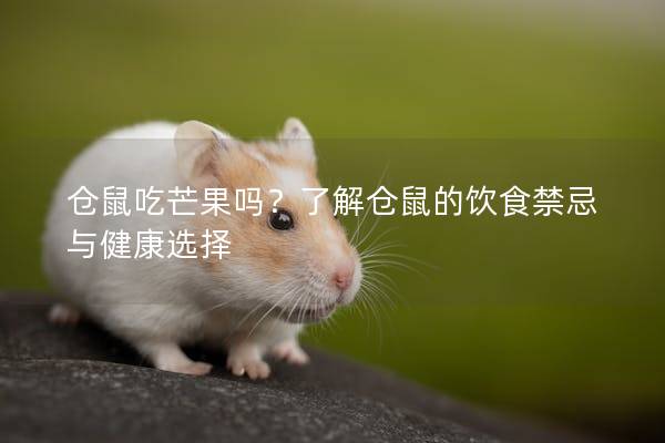 仓鼠吃芒果吗？了解仓鼠的饮食禁忌与健康选择