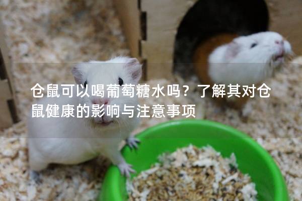 仓鼠可以喝葡萄糖水吗？了解其对仓鼠健康的影响与注意事项