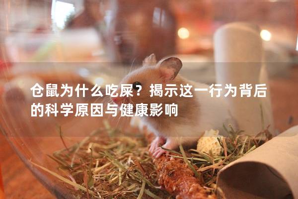 仓鼠为什么吃屎？揭示这一行为背后的科学原因与健康影响