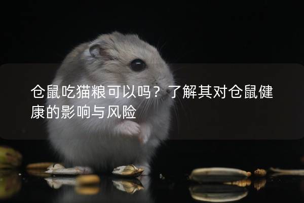 仓鼠吃猫粮可以吗？了解其对仓鼠健康的影响与风险