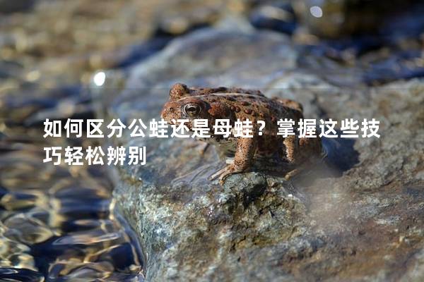 如何区分公蛙还是母蛙？掌握这些技巧轻松辨别