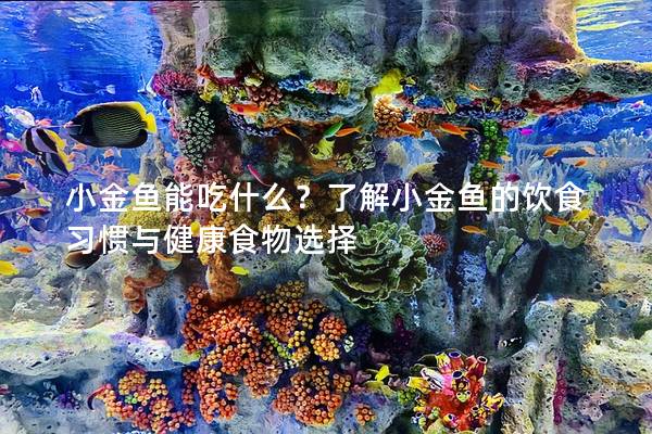 小金鱼能吃什么？了解小金鱼的饮食习惯与健康食物选择
