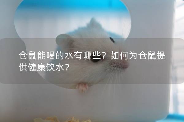 仓鼠能喝的水有哪些？如何为仓鼠提供健康饮水？