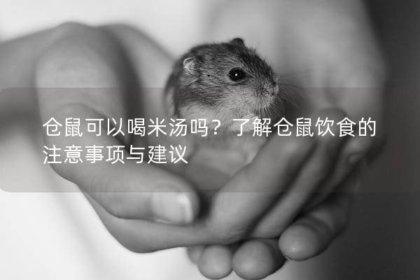 仓鼠可以喝米汤吗？了解仓鼠饮食的注意事项与建议
