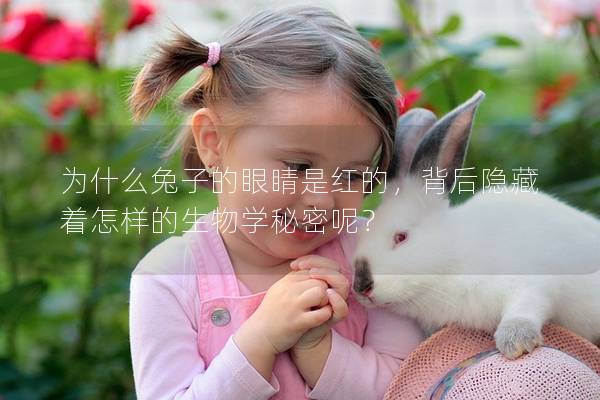 为什么兔子的眼睛是红的，背后隐藏着怎样的生物学秘密呢？