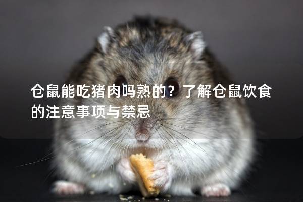 仓鼠能吃猪肉吗熟的？了解仓鼠饮食的注意事项与禁忌