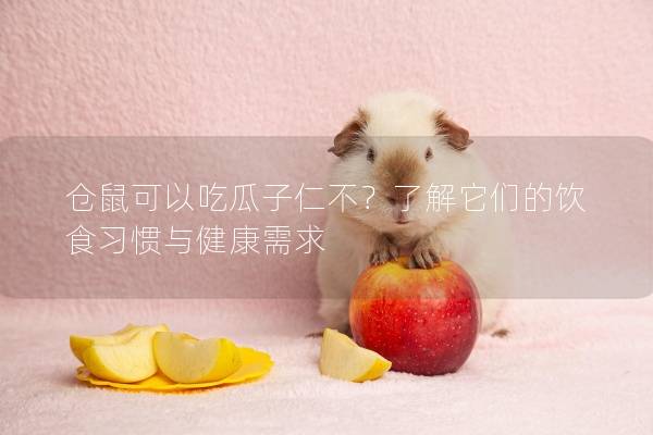仓鼠可以吃瓜子仁不？了解它们的饮食习惯与健康需求