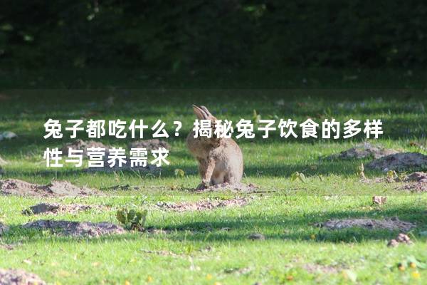 兔子都吃什么？揭秘兔子饮食的多样性与营养需求