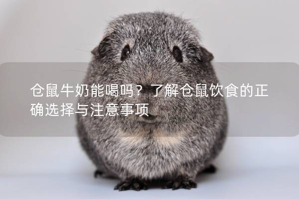 仓鼠牛奶能喝吗？了解仓鼠饮食的正确选择与注意事项