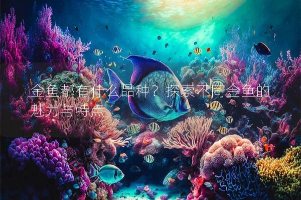 金鱼都有什么品种？探索不同金鱼的魅力与特点