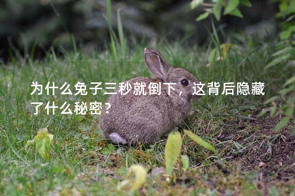 为什么兔子三秒就倒下，这背后隐藏了什么秘密？