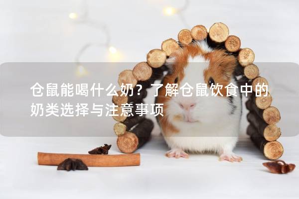 仓鼠能喝什么奶？了解仓鼠饮食中的奶类选择与注意事项