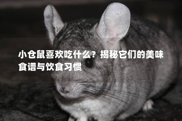 小仓鼠喜欢吃什么？揭秘它们的美味食谱与饮食习惯