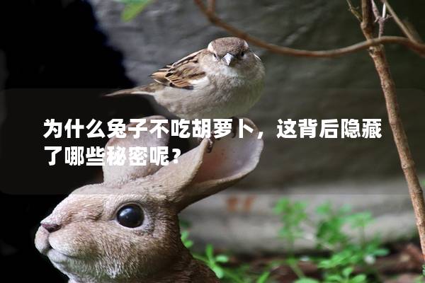 为什么兔子不吃胡萝卜，这背后隐藏了哪些秘密呢？