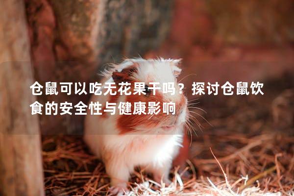仓鼠可以吃无花果干吗？探讨仓鼠饮食的安全性与健康影响