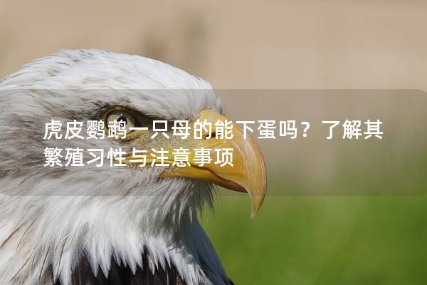 虎皮鹦鹉一只母的能下蛋吗？了解其繁殖习性与注意事项