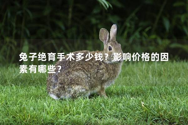 兔子绝育手术多少钱？影响价格的因素有哪些？