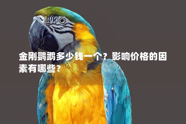 金刚鹦鹉多少钱一个？影响价格的因素有哪些？