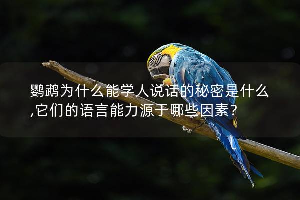 鹦鹉为什么能学人说话的秘密是什么,它们的语言能力源于哪些因素？