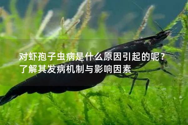对虾孢子虫病是什么原因引起的呢？了解其发病机制与影响因素