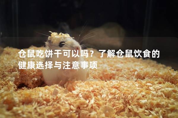 仓鼠吃饼干可以吗？了解仓鼠饮食的健康选择与注意事项