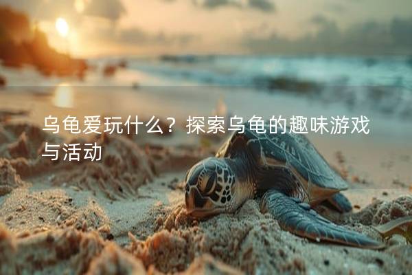 乌龟爱玩什么？探索乌龟的趣味游戏与活动