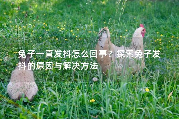 兔子一直发抖怎么回事？探索兔子发抖的原因与解决方法