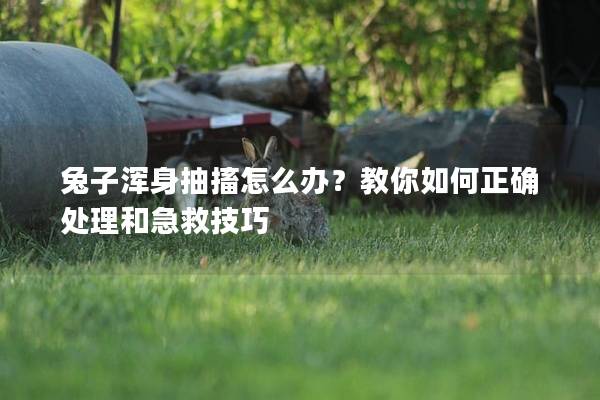 兔子浑身抽搐怎么办？教你如何正确处理和急救技巧