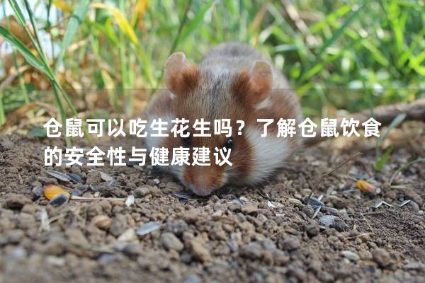 仓鼠可以吃生花生吗？了解仓鼠饮食的安全性与健康建议
