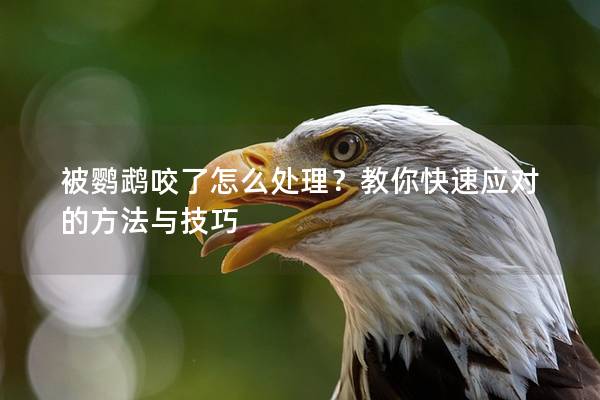 被鹦鹉咬了怎么处理？教你快速应对的方法与技巧