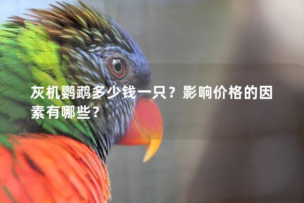 灰机鹦鹉多少钱一只？影响价格的因素有哪些？