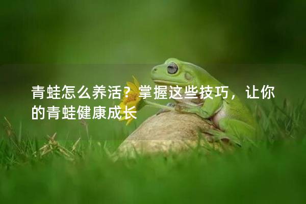 青蛙怎么养活？掌握这些技巧，让你的青蛙健康成长