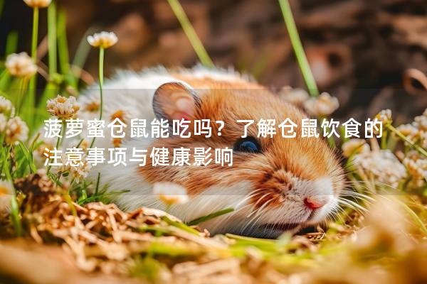 菠萝蜜仓鼠能吃吗？了解仓鼠饮食的注意事项与健康影响