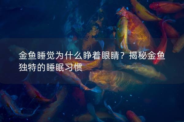 金鱼睡觉为什么睁着眼睛？揭秘金鱼独特的睡眠习惯