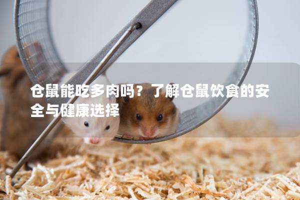 仓鼠能吃多肉吗？了解仓鼠饮食的安全与健康选择