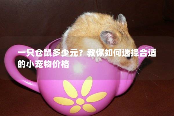 一只仓鼠多少元？教你如何选择合适的小宠物价格