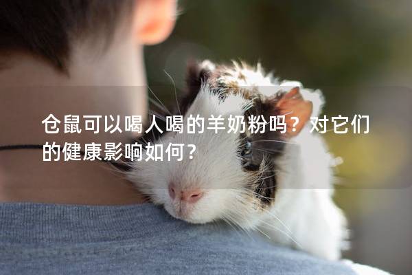 仓鼠可以喝人喝的羊奶粉吗？对它们的健康影响如何？