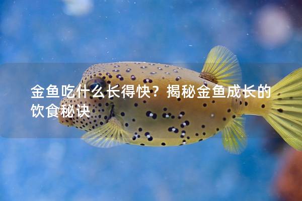 金鱼吃什么长得快？揭秘金鱼成长的饮食秘诀