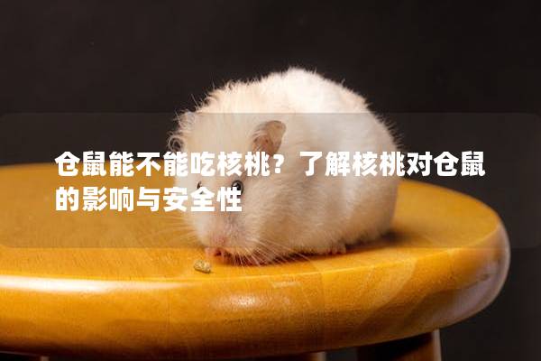 仓鼠能不能吃核桃？了解核桃对仓鼠的影响与安全性