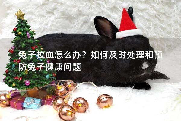 兔子拉血怎么办？如何及时处理和预防兔子健康问题