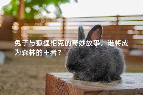 兔子与狐狸相克的奇妙故事，谁将成为森林的王者？