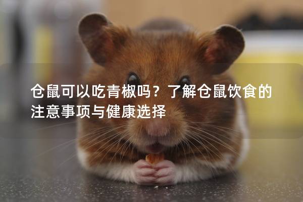 仓鼠可以吃青椒吗？了解仓鼠饮食的注意事项与健康选择