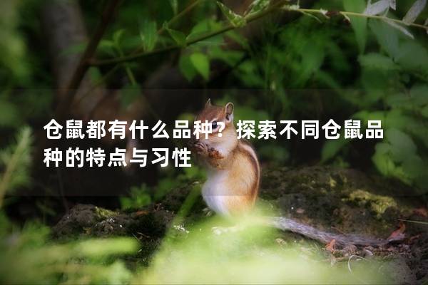仓鼠都有什么品种？探索不同仓鼠品种的特点与习性