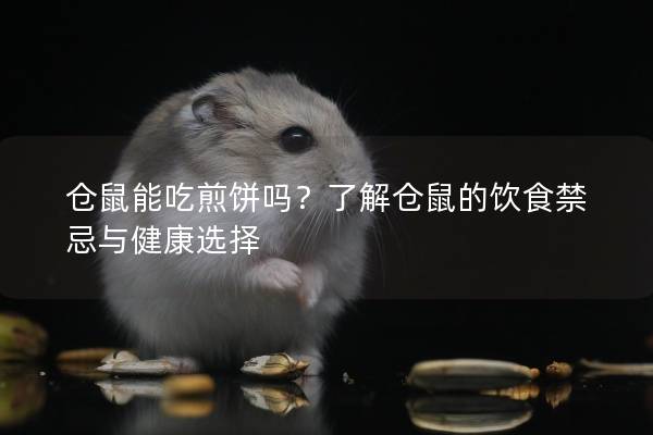 仓鼠能吃煎饼吗？了解仓鼠的饮食禁忌与健康选择